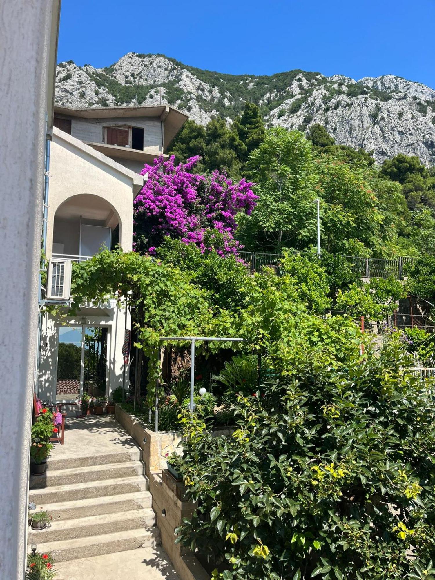 Apartment Davor Gradac  Eksteriør billede